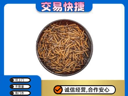 白沙回收散虫草